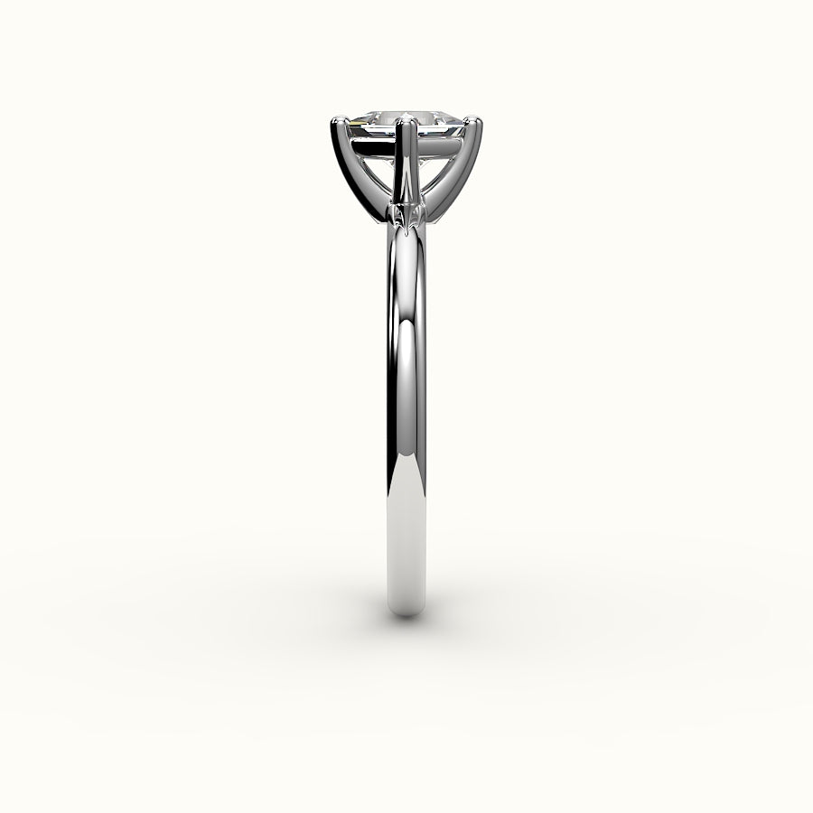 Compass Set Princess Cut Solitaire Ring Setting
