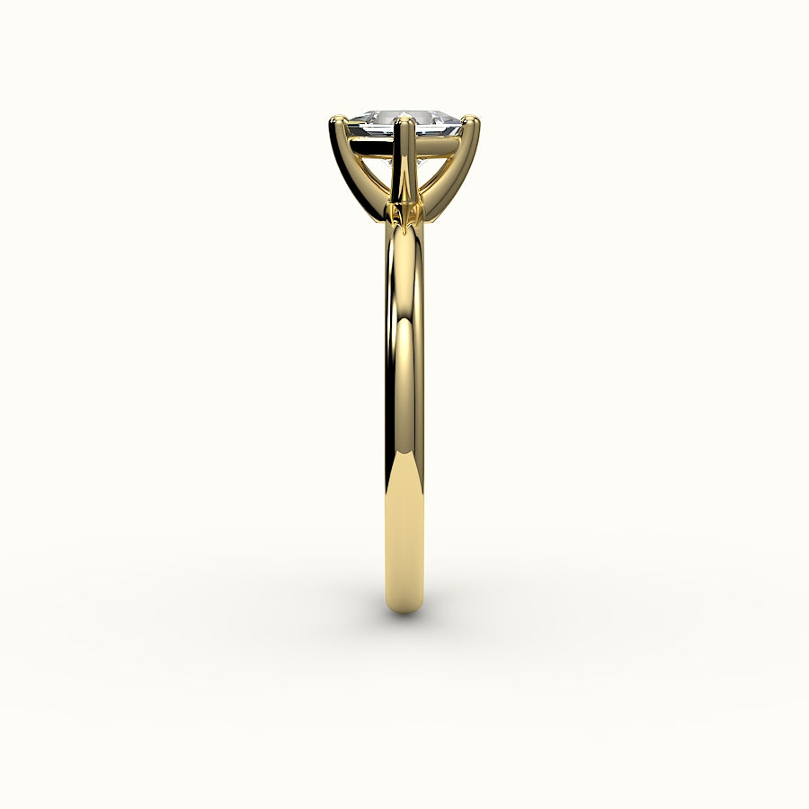 Compass Set Princess Cut Solitaire Ring Setting
