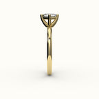 Compass Set Princess Cut Solitaire Ring Setting