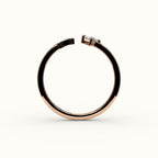 Compass Princess Cut Initial and Diamond Ring