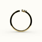 Compass Princess Cut Initial and Diamond Ring
